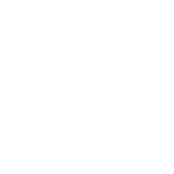 Suitcase Icon