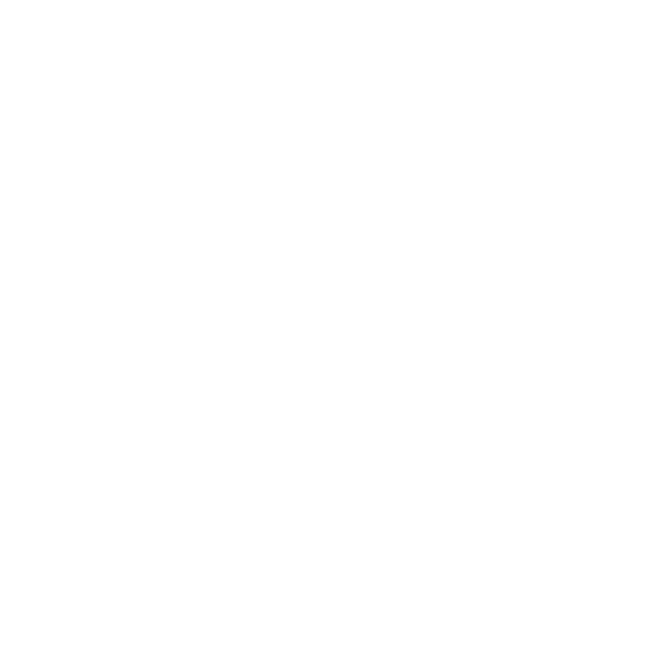 Boat Icon White