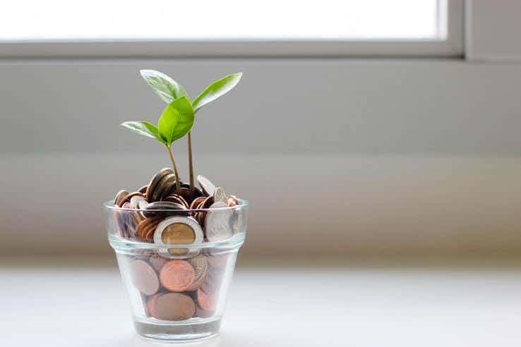 plant growing out of coins, symbolic for financial growth