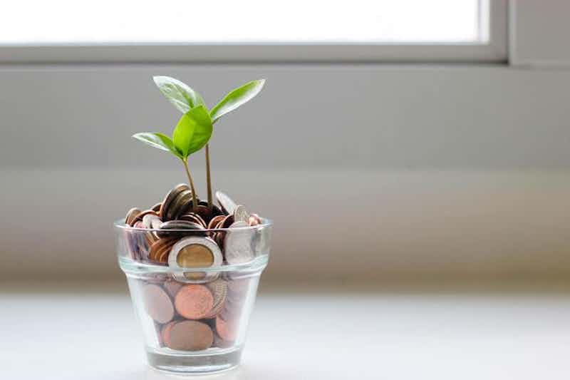 plant growing out of coins, symbolic for financial growth