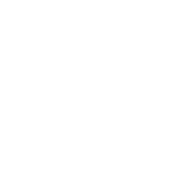 Autolink Icon White