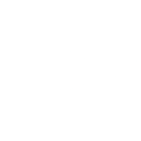 Autolink Icon White