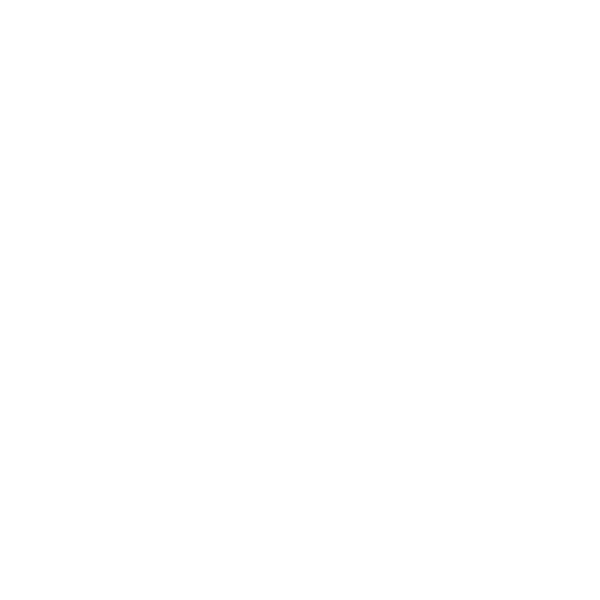 House Icon White